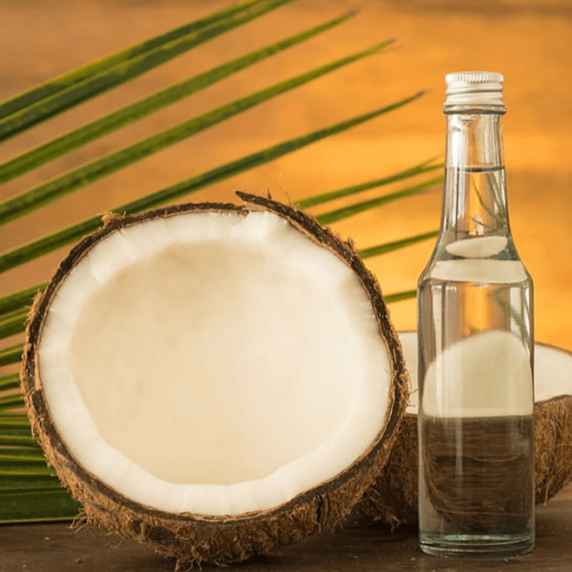 Sourcing Oil Seeds in Bulk: A Guide for Manufacturers and Traders