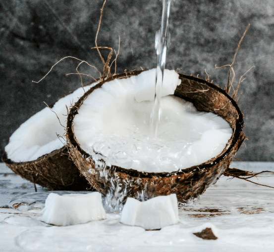 Coconut