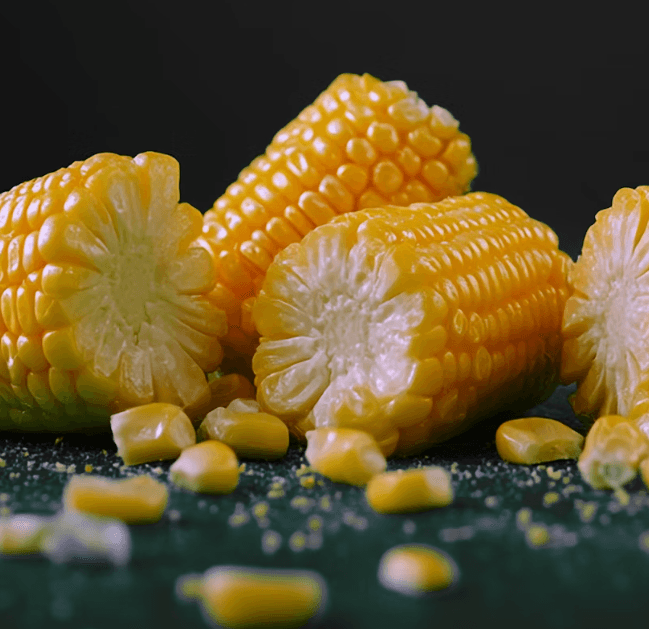 Corn Gluten Meal